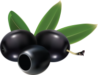 Olives PNG Free Download 56