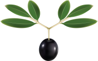 Olives PNG Free Download 57