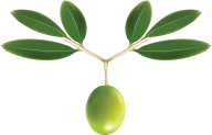 Olives PNG Free Download 58