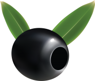 Olives PNG Free Download 59