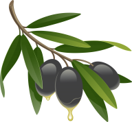 Olives PNG Free Download 60
