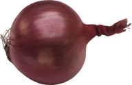 Onion PNG Free Download 10