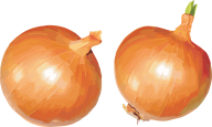 Onion PNG Free Download 11