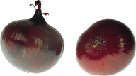 Onion PNG Free Download 13