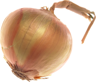 Onion PNG Free Download 14