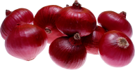 Onion PNG Free Download 15