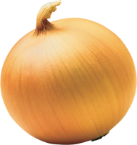 Onion PNG Free Download 16