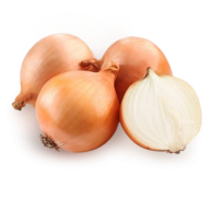 Onion PNG Free Download 17