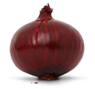 Onion PNG Free Download 19