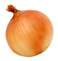 Onion PNG Free Download 21