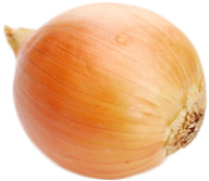 Onion PNG Free Download 25