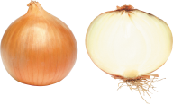 Onion PNG Free Download 3