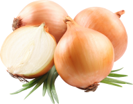 Onion PNG Free Download 5