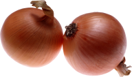 Onion PNG Free Download 7