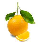 Orange PNG Free Download 1