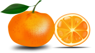 Orange PNG Free Download 10