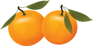 Orange PNG Free Download 11