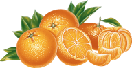 Orange PNG Free Download 12