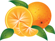 Orange PNG Free Download 13