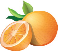 Orange PNG Free Download 14