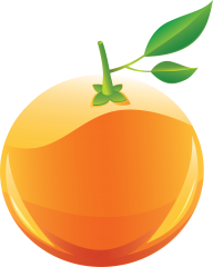 Orange PNG Free Download 15