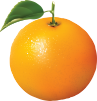 Orange PNG Free Download 16