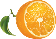Orange PNG Free Download 17