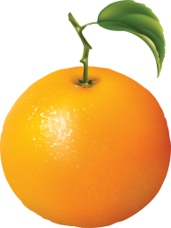 Orange PNG Free Download 18