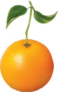 Orange PNG Free Download 19