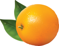 Orange PNG Free Download 20