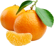 Orange PNG Free Download 22