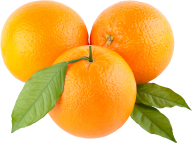 Orange PNG Free Download 23