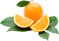 Orange PNG Free Download 24