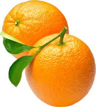 Orange PNG Free Download 25