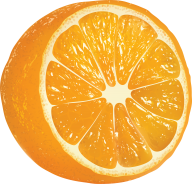 Orange PNG Free Download 26