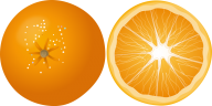 Orange PNG Free Download 27