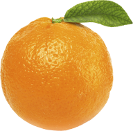 Orange PNG Free Download 34