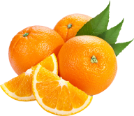 Orange PNG Free Download 36