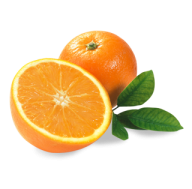 Orange PNG Free Download 37