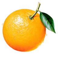 Orange PNG Free Download 49