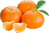 Orange PNG Free Download 53