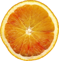 Orange PNG Free Download 57