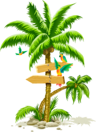 PalmTree PNG Free Download 1