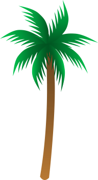 PalmTree PNG Free Download 16
