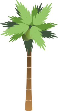 PalmTree PNG Free Download 24