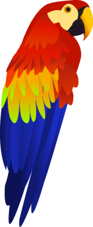 Parrot PNG Free Download 12