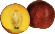 Peach PNG Free Download 11