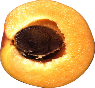 Peach PNG Free Download 15