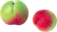 Peach PNG Free Download 17