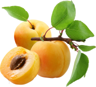 Peach PNG Free Download 2